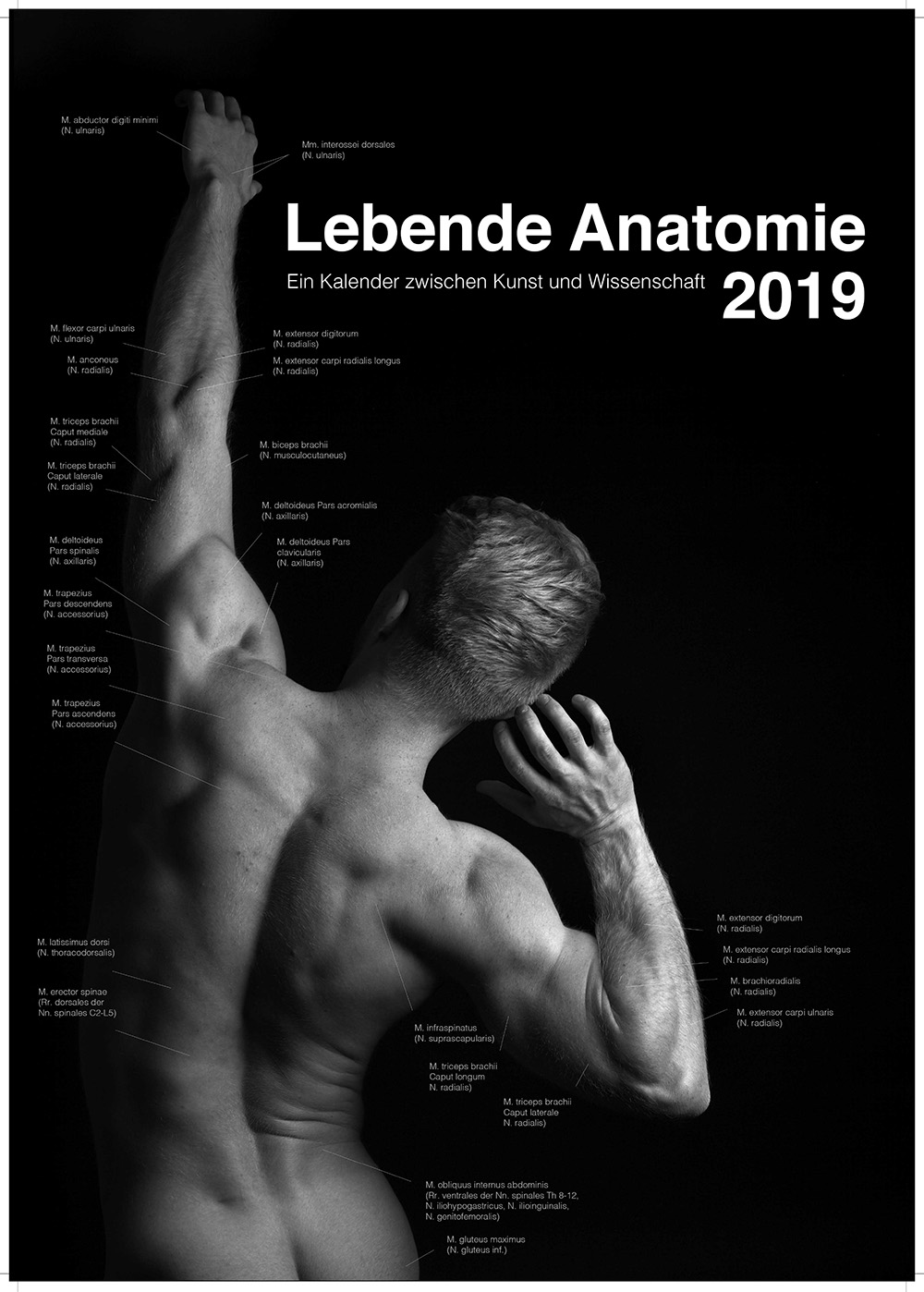 Lebende Anatomie 2019 Kalender Vorschau