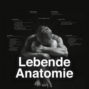 FB Profilbild Lebende Anatomie Kalender 2020 2